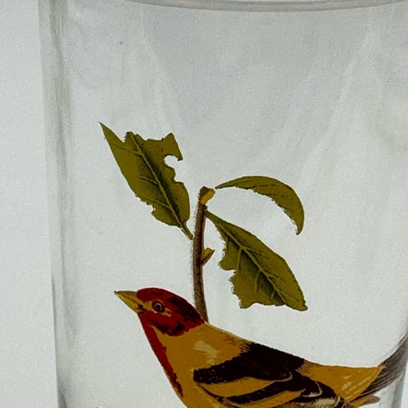 Set of 4 Vintage West Virginia Glass AMERICAN SONGBIRDS Flat Tumblers Glasses - Picture 11 of 16